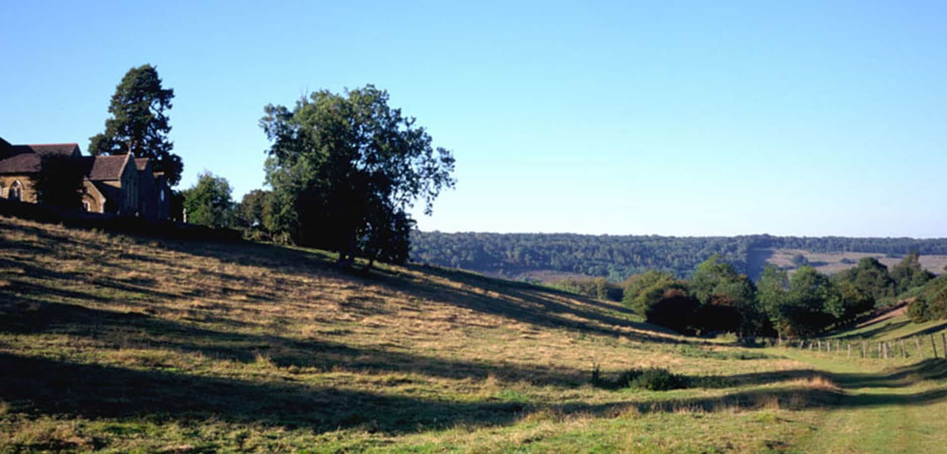 Surrey Fields